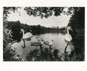 「BRUCE DAVIDSON　CENTRAL PARK / Photo / Text: Bruce Davidson　Foreword: Elizabeth Barlow Rogers　Comment: Marie Winn」画像2