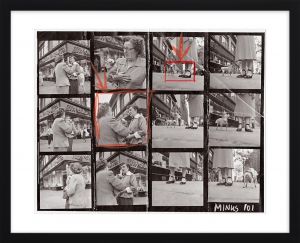 Contact Sheet Print: Chihuahua New York Elliott Erwittのサムネール