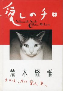 愛しのチロ／荒木経惟（Chiro, My love／Nobuyoshi Araki)のサムネール