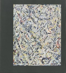 「JACKSON POLLOCK / Author: Brayan Robertson」画像2