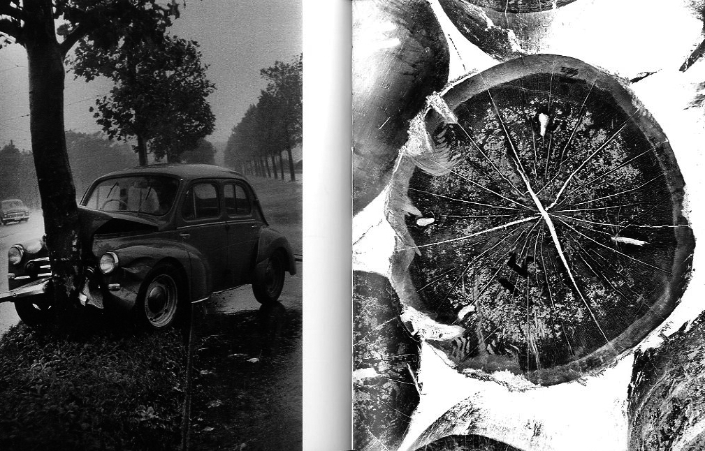 遠い場所の記憶：1951-1966 / 写真：川田喜久治 執筆：川田