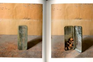 「MORANDI’S OBJECTS / Joel Meyerowitz」画像2