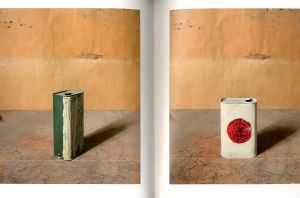 「MORANDI’S OBJECTS / Joel Meyerowitz」画像6