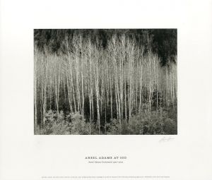 「ANSEL ADAMS AT 100 / Photo: Ansel Adams　Commentary: John Szarkowski」画像2