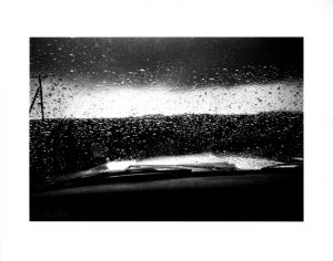 Wetlands【サイン入】／森山大道（Wetlands【SIGNED】／Daido Moriyama )のサムネール