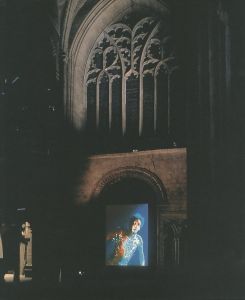 「BILL VIOLA / Curated: David A Ross, Peter Sellars」画像2