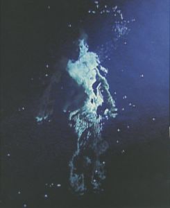 「BILL VIOLA / Curated: David A Ross, Peter Sellars」画像1