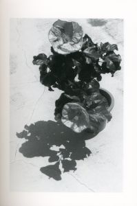 「片目 / 著：荒木経惟」画像1