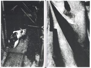 「Hiroko / 森山大道」画像2