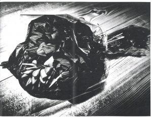 「Hiroko / 森山大道」画像5