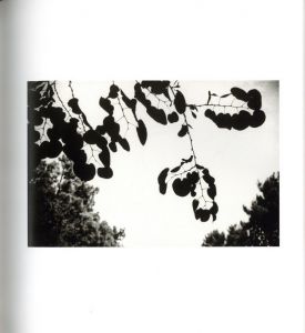 「Ellsworth Kelly Photographs / Photo, Text: Ellsworth Kelly」画像1