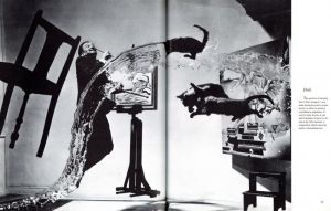 「Philippe Halsman's　JUMP BOOK / Photo: Philippe Halsman　Foreword: Mike Wallace」画像5