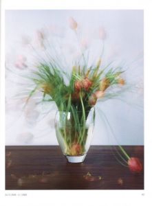 「MICHAEL WESELY　STILLEBEN / Michael Wesely」画像2