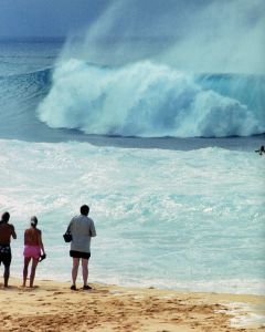 「SURF BOOK / Author: Michael Halsband」画像3