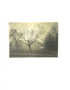 「Josef Sudek 1896-1976　Sixty Pigment Prints from the Artist's Estate / Photo: Josef Sudek」画像8