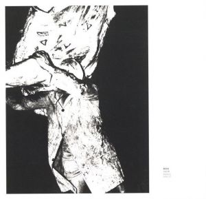 「MARIO GIACOMELLI　黒と白の往還の果てに / 著：マリオ・ジャコメッリ　イタリア語翻訳：岡本太郎」画像8