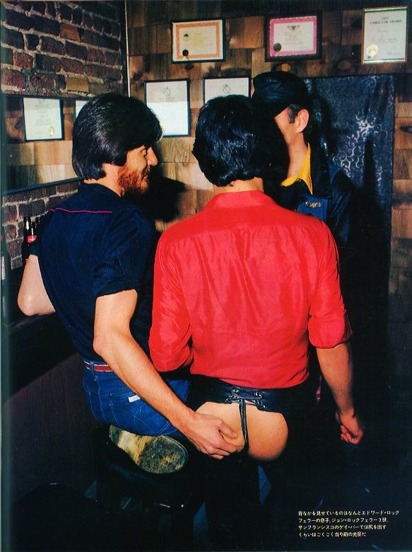 PHOTO JAPON Vol.2 No.8 特集：細江英公写真作品「薔薇刑」 / アート