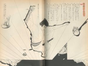 「絵草紙 うろつき夜太 / 文：柴田錬三郎　装丁・画：横尾忠則」画像1