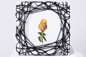Flower in Bondage (M) ♯005 Ed.1/5 / Hajime Kinoko