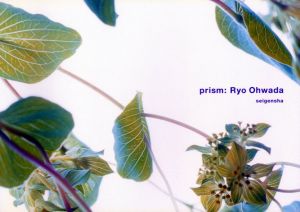 「prism / 著：大和田良　AD・デザイン：中島英樹」画像1