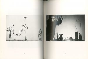 「SHOJI UEDA （物）たち / 写真：植田正治　文：池澤夏樹」画像3