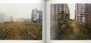 「Joel Sternfeld Walking the High Line / Joel Sternfeld」画像3
