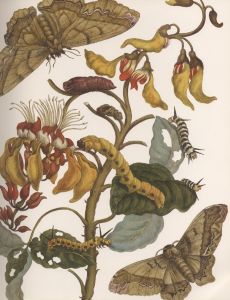 「Botanicals: Butterflies Insects / 編：Leslie K. Overstreet」画像2