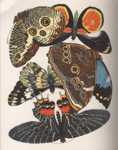 「Botanicals: Butterflies Insects / 編：Leslie K. Overstreet」画像3
