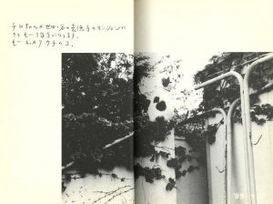 「愛しのチロ / 荒木経惟」画像6