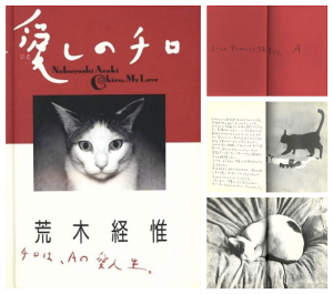 愛しのチロ／荒木経惟（Chiro, My love／Nobuyoshi Araki)のサムネール