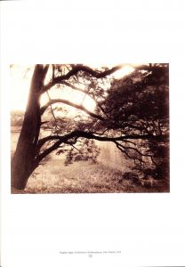 「Atget the Pioneer / Photo: Eugène Atget」画像6