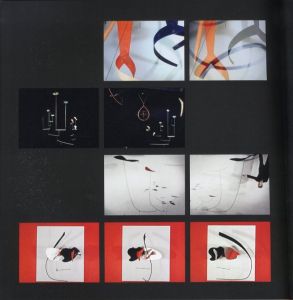 「Calder by Matter / Photo: Herbert Matter　Artist: Alexander Calder」画像1