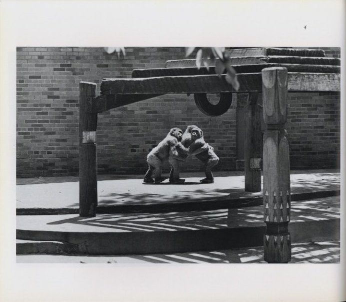 Garry Winogrand: The Animals | Fraenkel Gallery