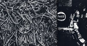 「地図 / 写真：川田喜久治　ブックデザイン：杉浦康平　パッケイジデザイン：石尾利朗　序文：大江健三郎」画像17