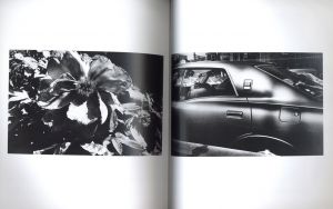 「Daido Moriyama 1965~ / 写真：森山大道　編：上田義彦」画像5