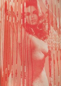 「H ロッキング・オン Vol,1 1994年 5月増刊号　SEX&VIOLENCE / 編：渋谷陽一」画像2