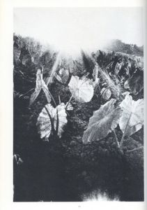 「北井一夫写真集　三里塚 / 著：北井一夫」画像7