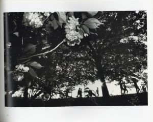 「BRUCE DAVIDSON　CENTRAL PARK / Photo, Text: Bruce Davidson　Foreword: Elizabeth Barlow Rogers　Comment: Marie Winn」画像4