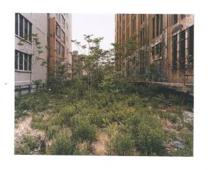 「Joel Sternfeld Walking the High Line / Author: Joel Sternfeld」画像2