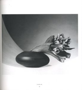 「MAPPLETHORPE / Photo: Robert Mapplethorpe　Edit, Design: Mark Holborn, Dimitri Levas」画像5