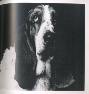 「イヌの紳士録 / 写真：林宏樹」画像1