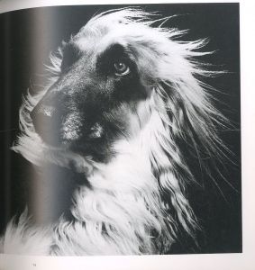 「イヌの紳士録 / 写真：林宏樹」画像3