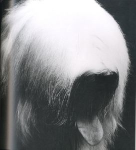 「イヌの紳士録 / 写真：林宏樹」画像5