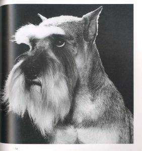 「イヌの紳士録 / 写真：林宏樹」画像7