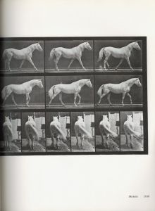 「Eadweard Muybridge MUYBRIDGE'S HUMAN AND ANIMAL LOCOMOTION All 781 Plates from the 1887 “Animal Locomotion” Vol.1~Vol.3 /  Photo: Eadweard Muybridge」画像12