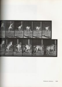 「Eadweard Muybridge MUYBRIDGE'S HUMAN AND ANIMAL LOCOMOTION All 781 Plates from the 1887 “Animal Locomotion” Vol.1~Vol.3 /  Photo: Eadweard Muybridge」画像14