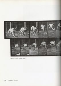 「Eadweard Muybridge MUYBRIDGE'S HUMAN AND ANIMAL LOCOMOTION All 781 Plates from the 1887 “Animal Locomotion” Vol.1~Vol.3 /  Photo: Eadweard Muybridge」画像13