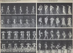 「Eadweard Muybrige HUMAN FIGURE IN MOTION POSTCARDS / Photo: Eadweard Muybridge」画像2
