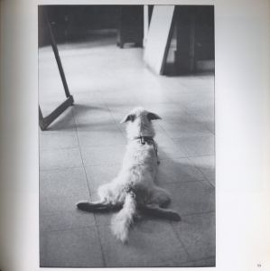 「Son of Bitch / Author: Elliott Erwitt　Foreword: P.G. Wodehouse」画像2