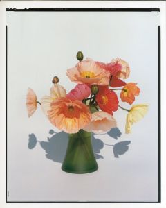 「YOSHIHIKO UEDA : FLOWERS / 著：上田義彦　文：伊藤俊治　装幀：葛西薫」画像3